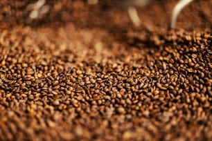 Gros plan de la torréfaction des grains de café.