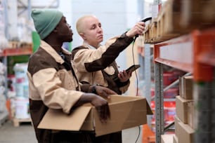 Une femme vérifie les codes-barres des colis sur les étagères avec un scanner avec son collègue qui l’aide à l’entrepôt