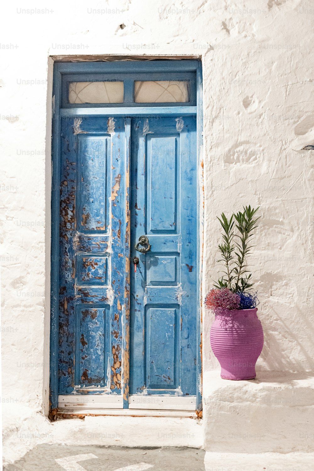 una puerta azul y una planta en maceta púrpura frente a ella