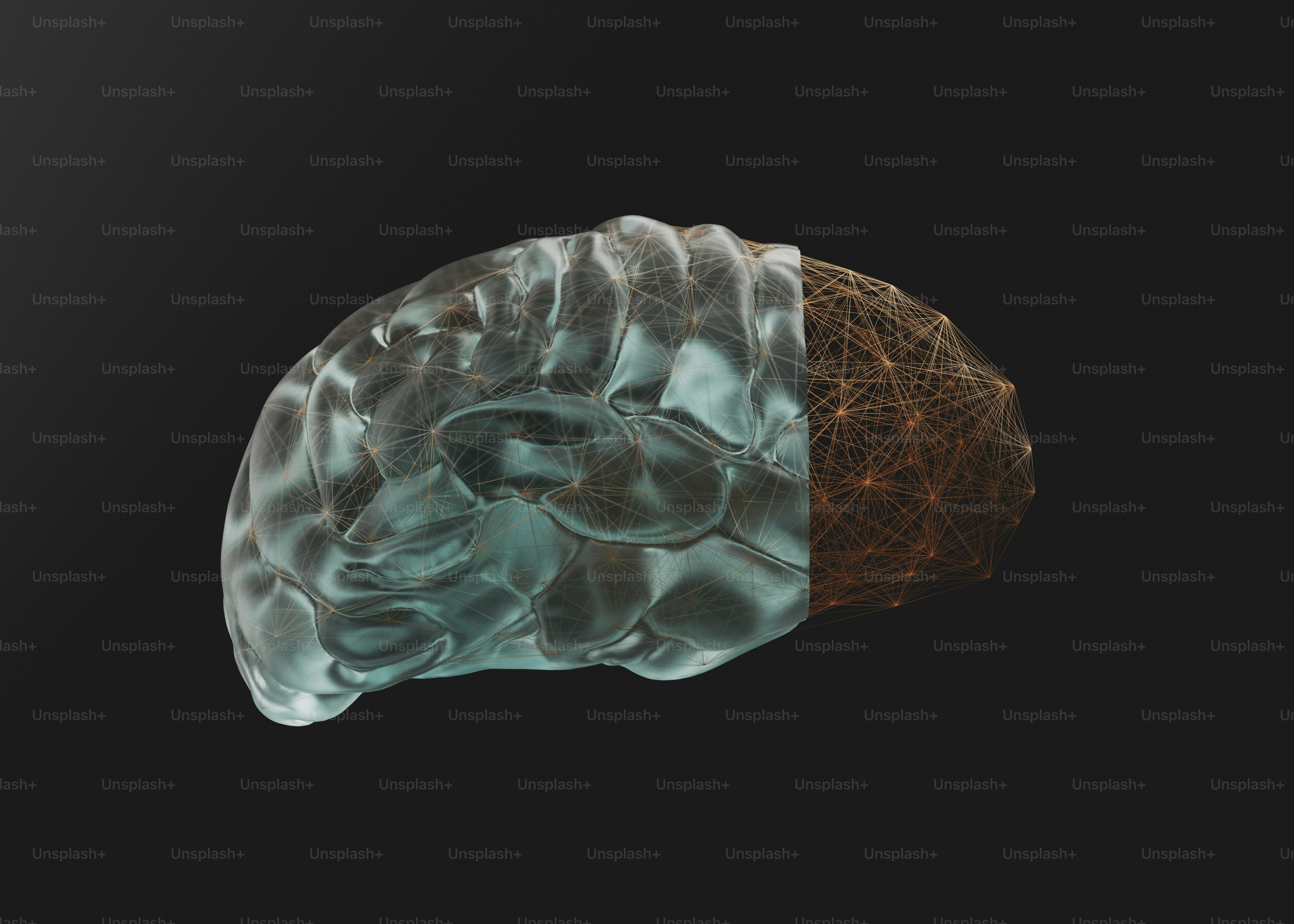 a computer generated image of a human brain