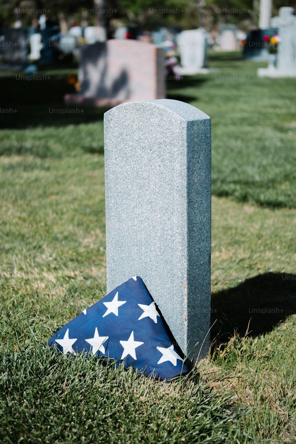 草の中の墓の上に置かれた旗
