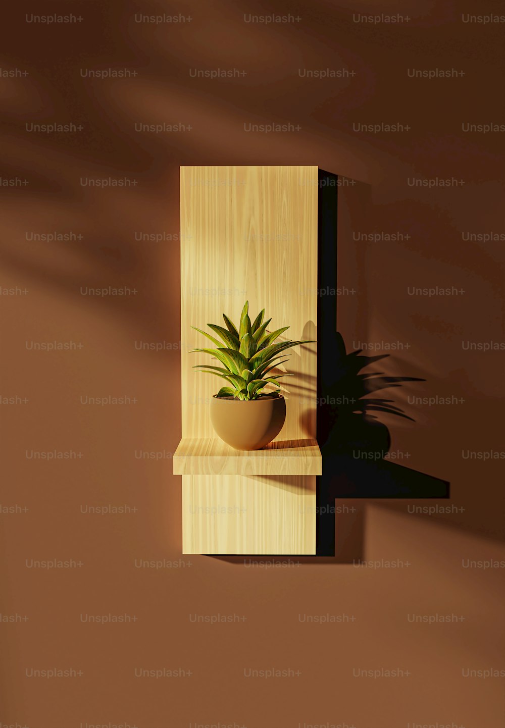 eine Topfpflanze, die auf einem Holzregal sitzt