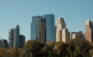 Uno skyline della città con edifici alti e alberi