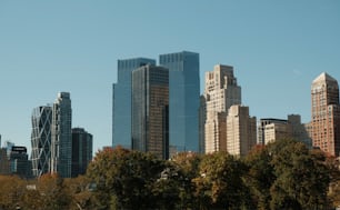 a city skyline with tall buildings and trees