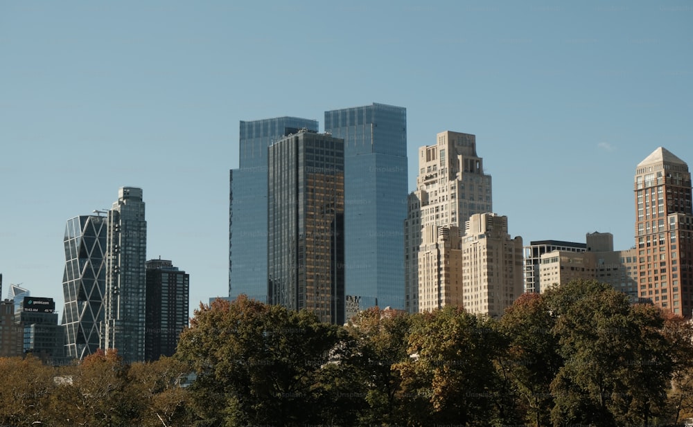 a city skyline with tall buildings and trees