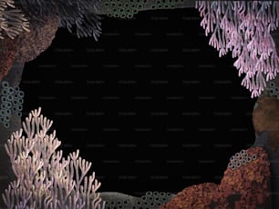 Cornice di coralli colorati in sfondo nero, illustrazione, pittura, disegno, spazio di copia