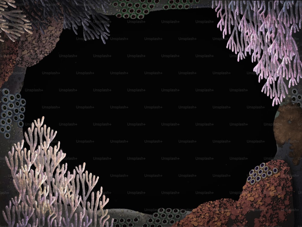 Marco de corales coloridos en fondo negro, ilustración, pintura, diseño, espacio de copia