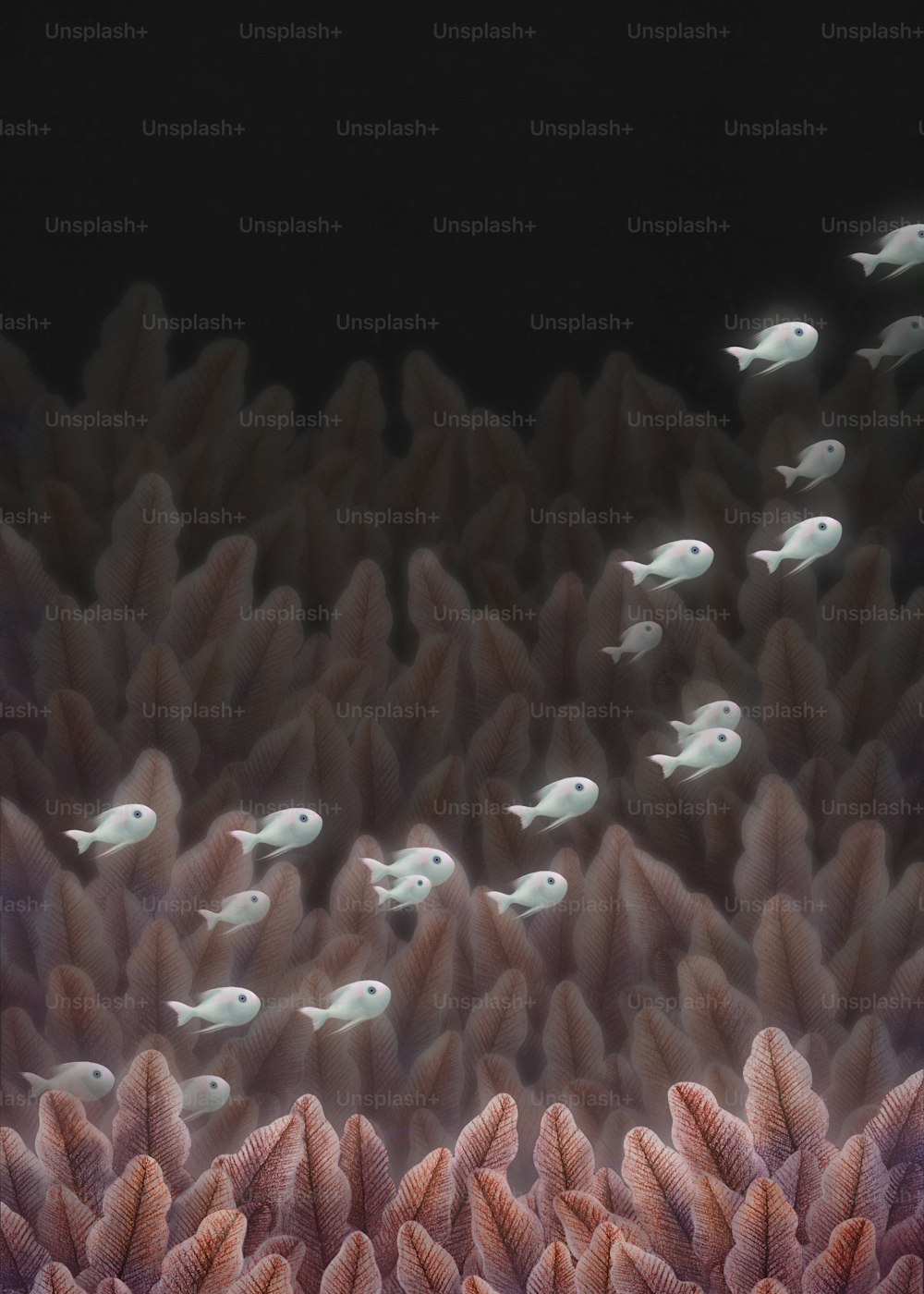 Groupe de poissons blancs avec mer de corail, fantaisie, illustration, peinture, sous l’eau, mignon