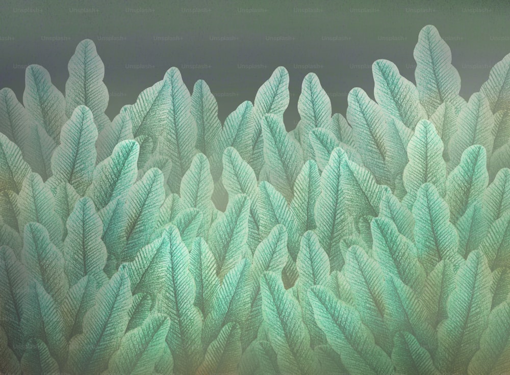 leaf in gardem, illustration, nature background