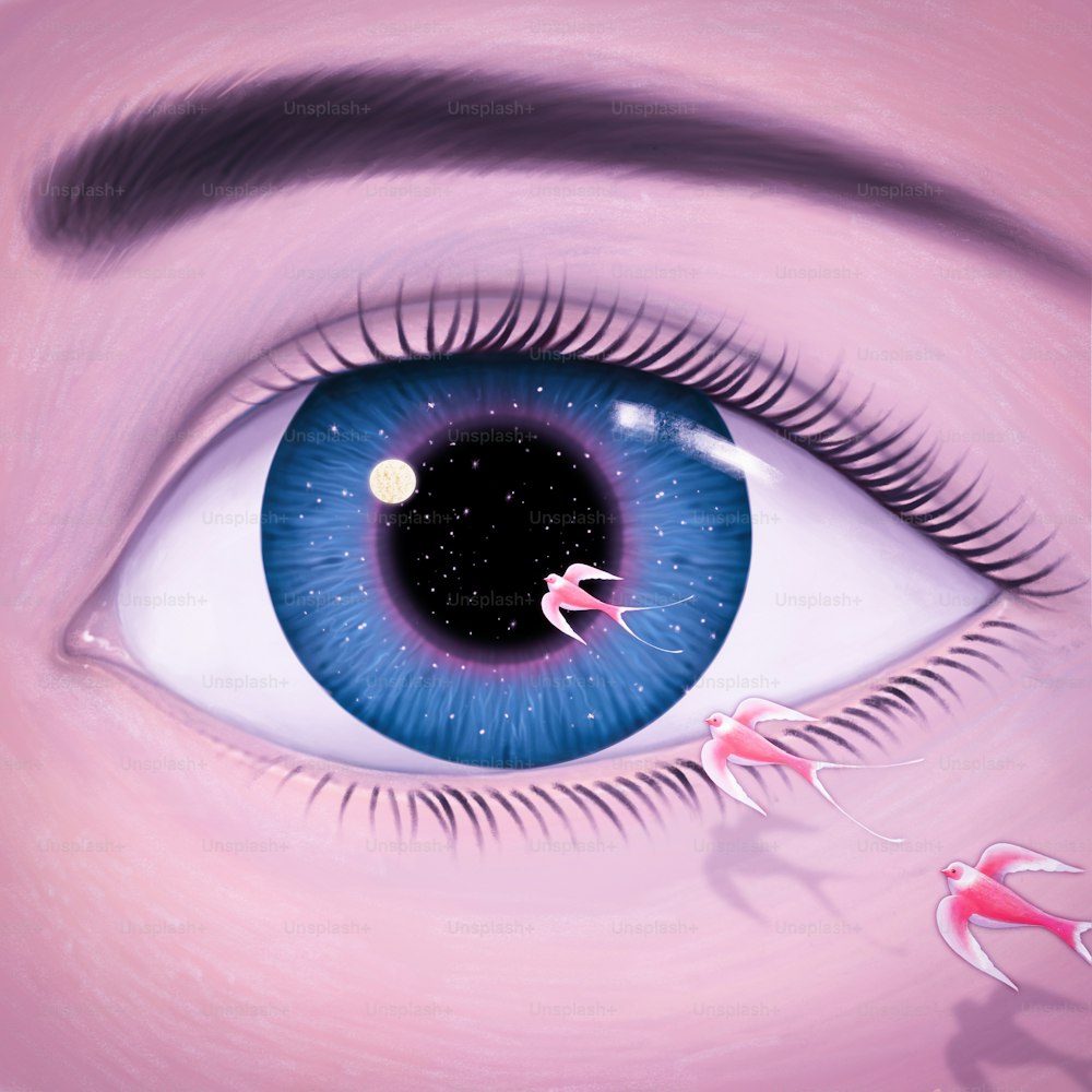 woman eye art