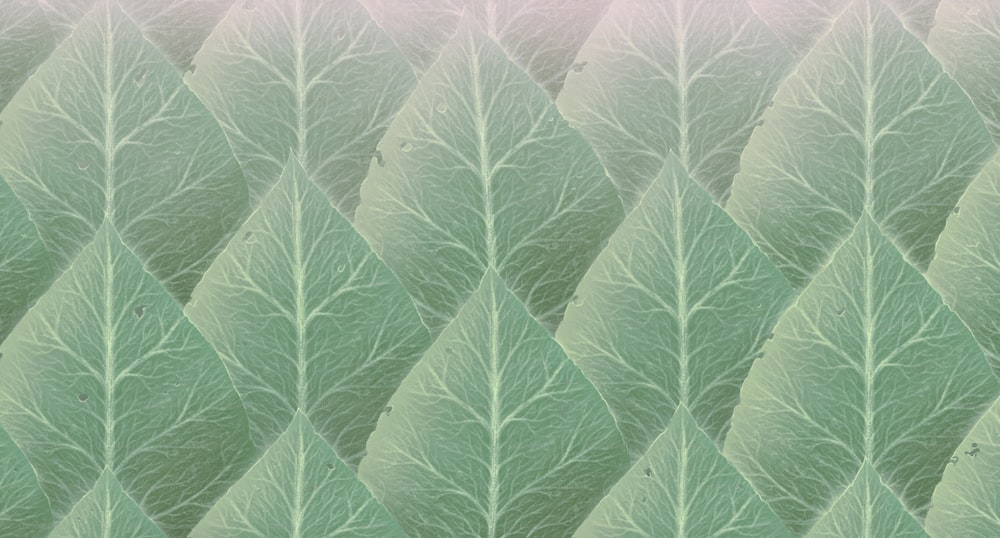 Nature abstract background. painting of leafs. art of dream concept