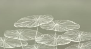 Natur abstrakter Hintergrund. Malerei von Blättern. Die Kunst des Traumkonzepts