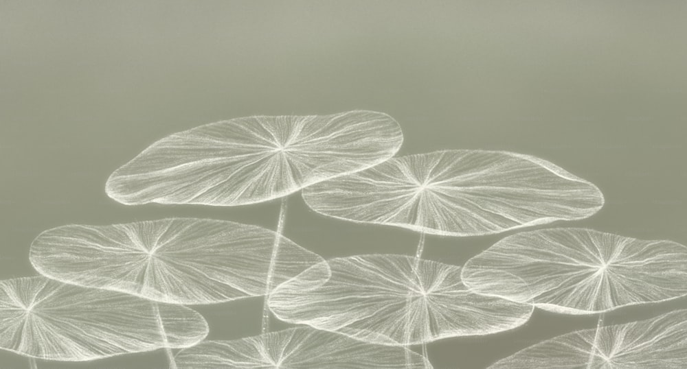 Antecedentes abstractos de la naturaleza. Pintura de hojas. Concepto de arte del sueño