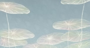 Nature abstract background. painting of leafs. art of dream concept, lotus