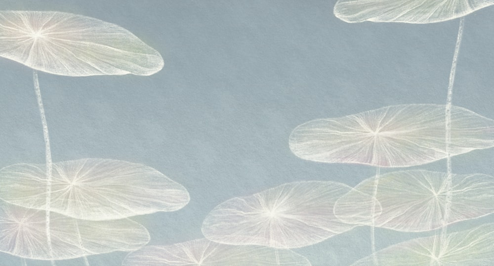 Natura sfondo astratto. pittura di foglie. Art of Dream Concept, Lotus