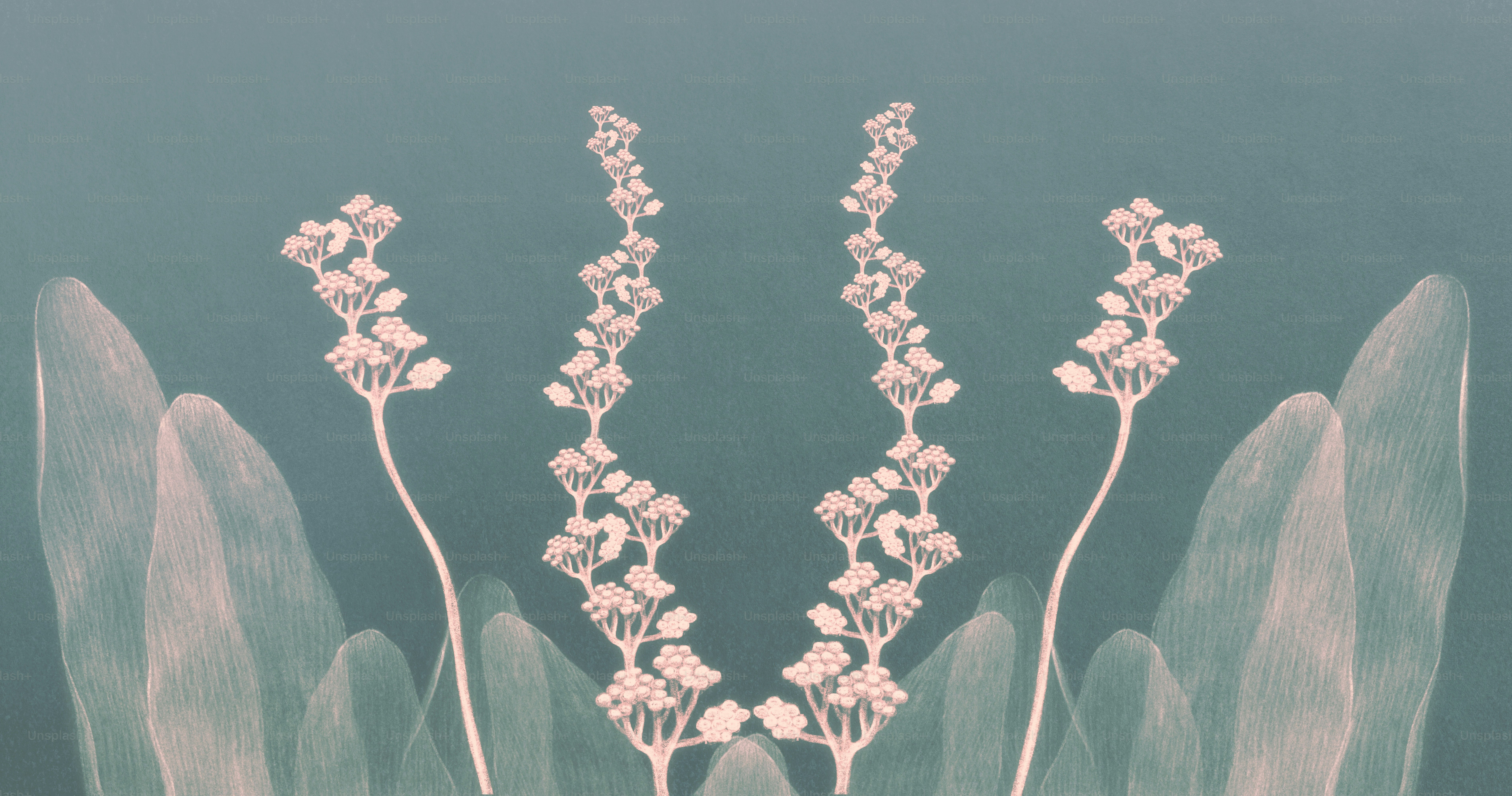 Flowers abstract background. painting of nature. art of dream concept