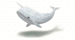 흰 고래 캐릭터 디자인은 하얀 배경에 고립되어 있고, 재미있는 동물의 그림이다. 괴물. 초현실적 인 예술