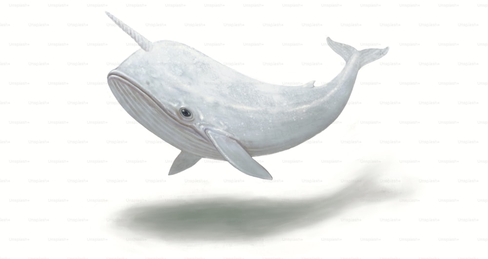 白い背景に白いクジラのキャラクターデザイン、おかしな動物の絵。化け物。シュールなアート