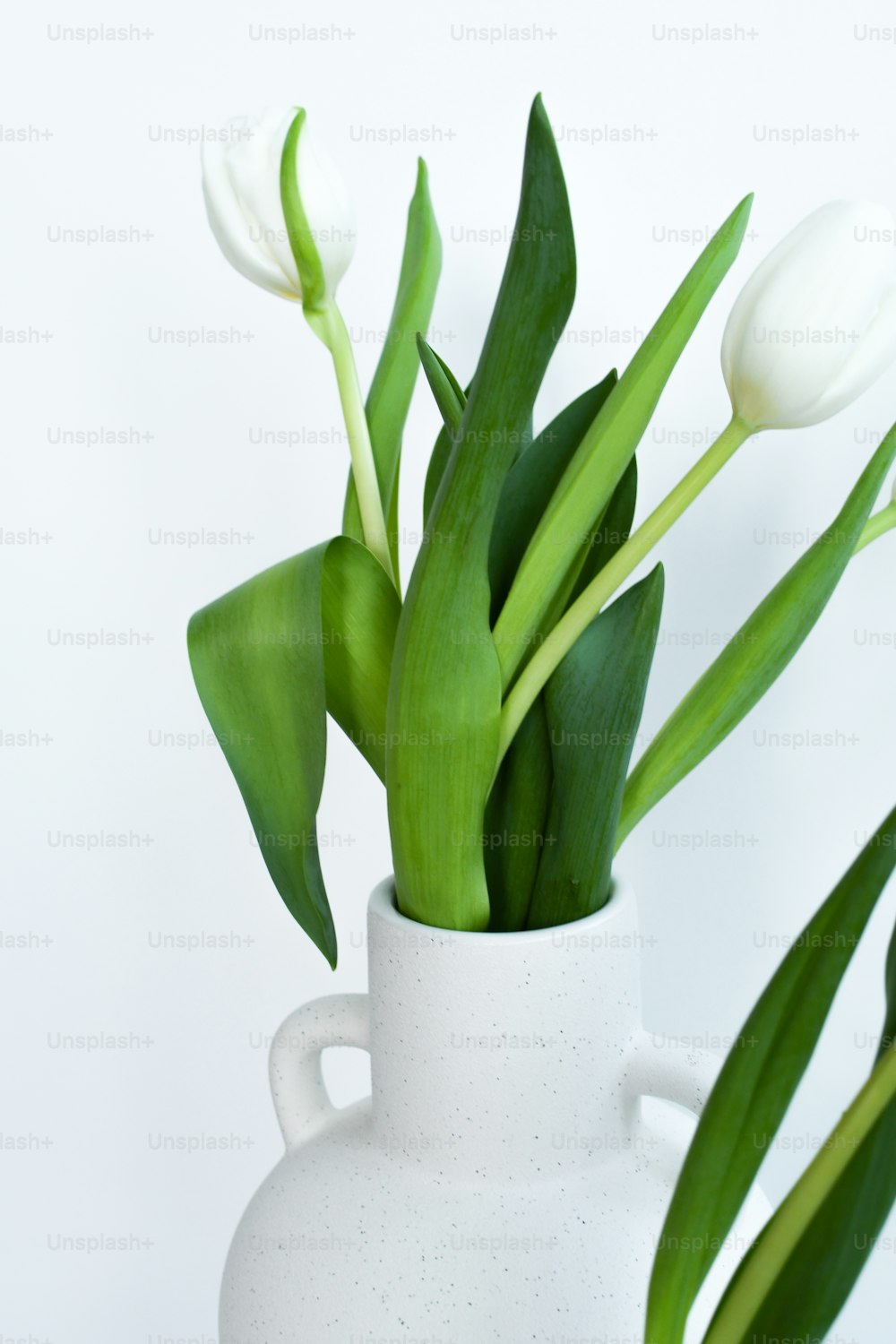 un vaso bianco pieno di fiori bianchi in cima a un tavolo