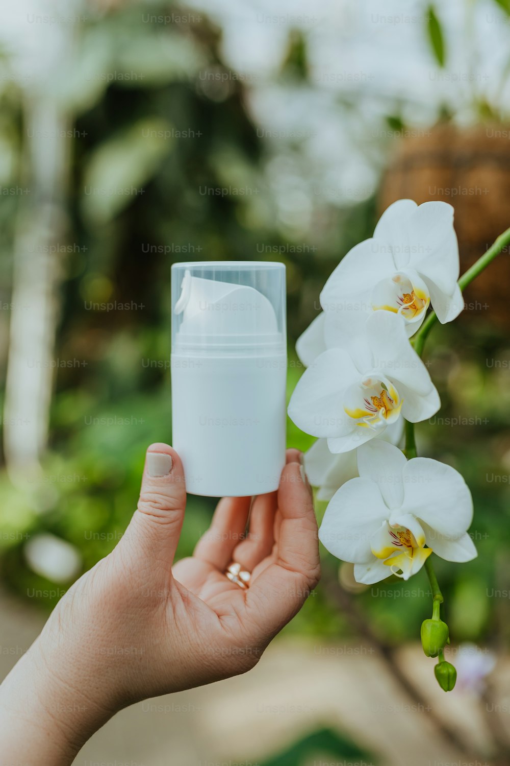 a person holding a small container with flowers in it