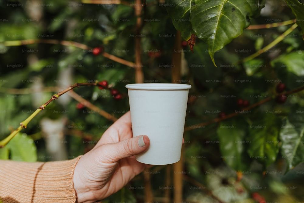 a person holding a cup in their hand