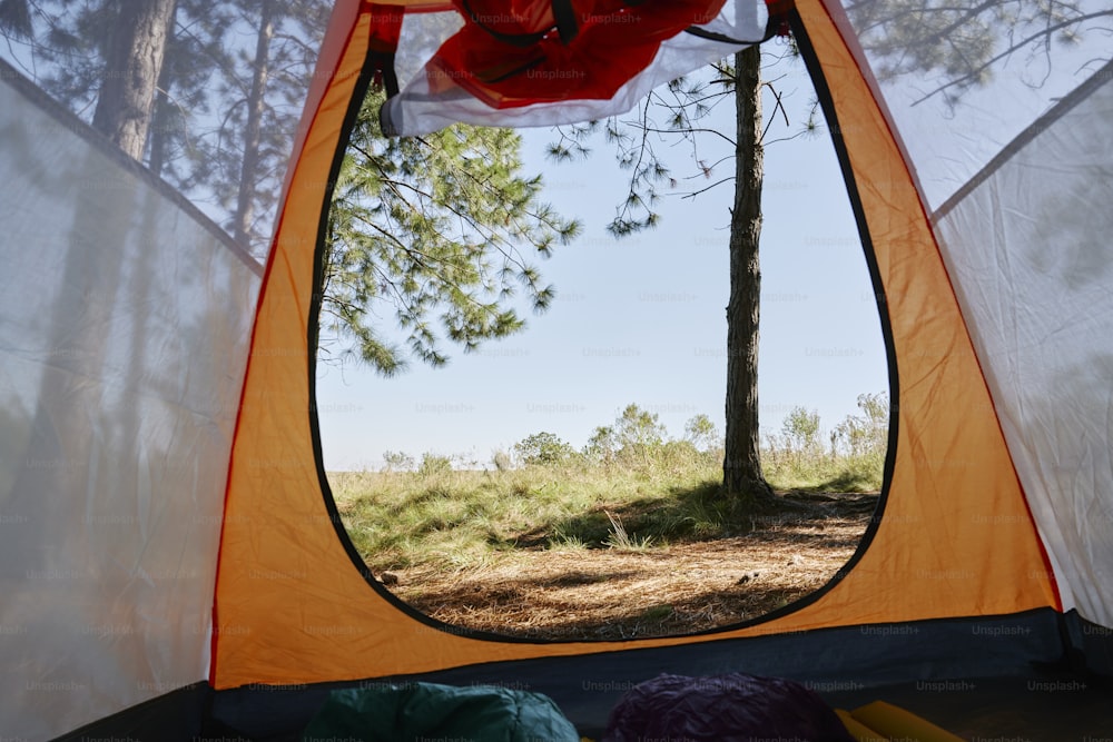 ein Zelt mit Blick auf einen Wald durch das Fenster