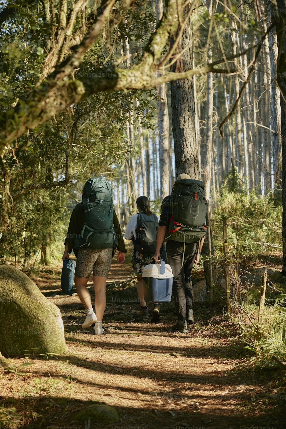 a couple of people walking down a dirt road