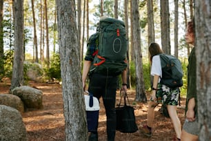 a couple of people walking through a forest