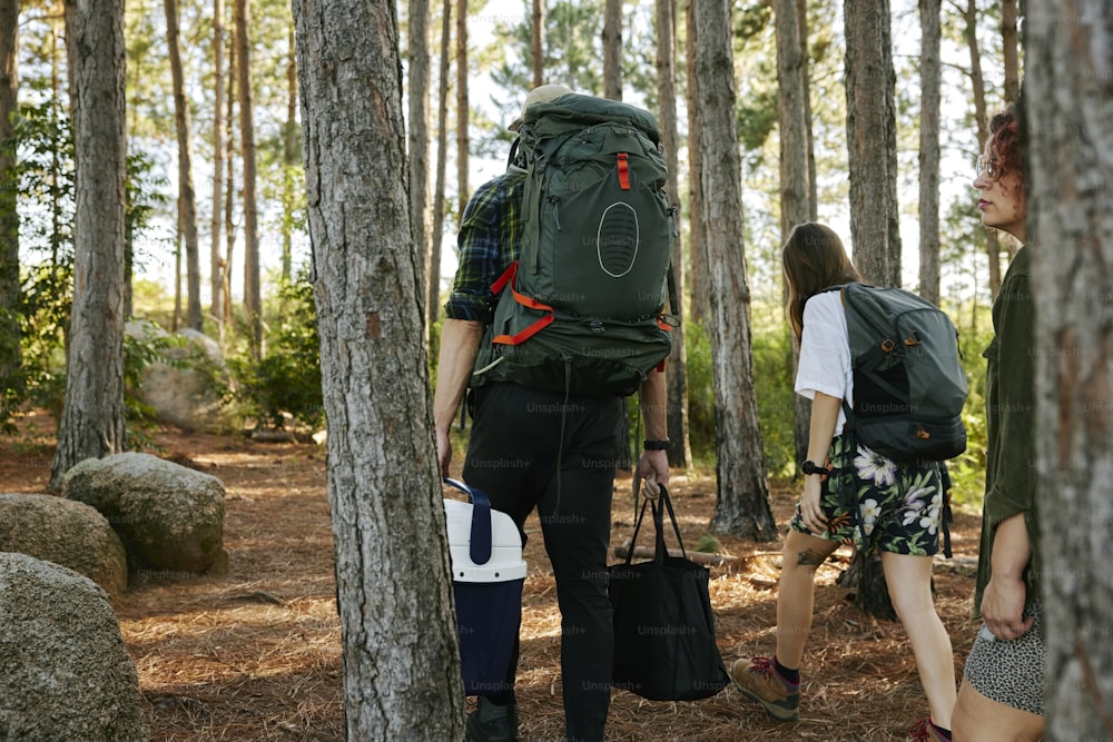 a couple of people walking through a forest