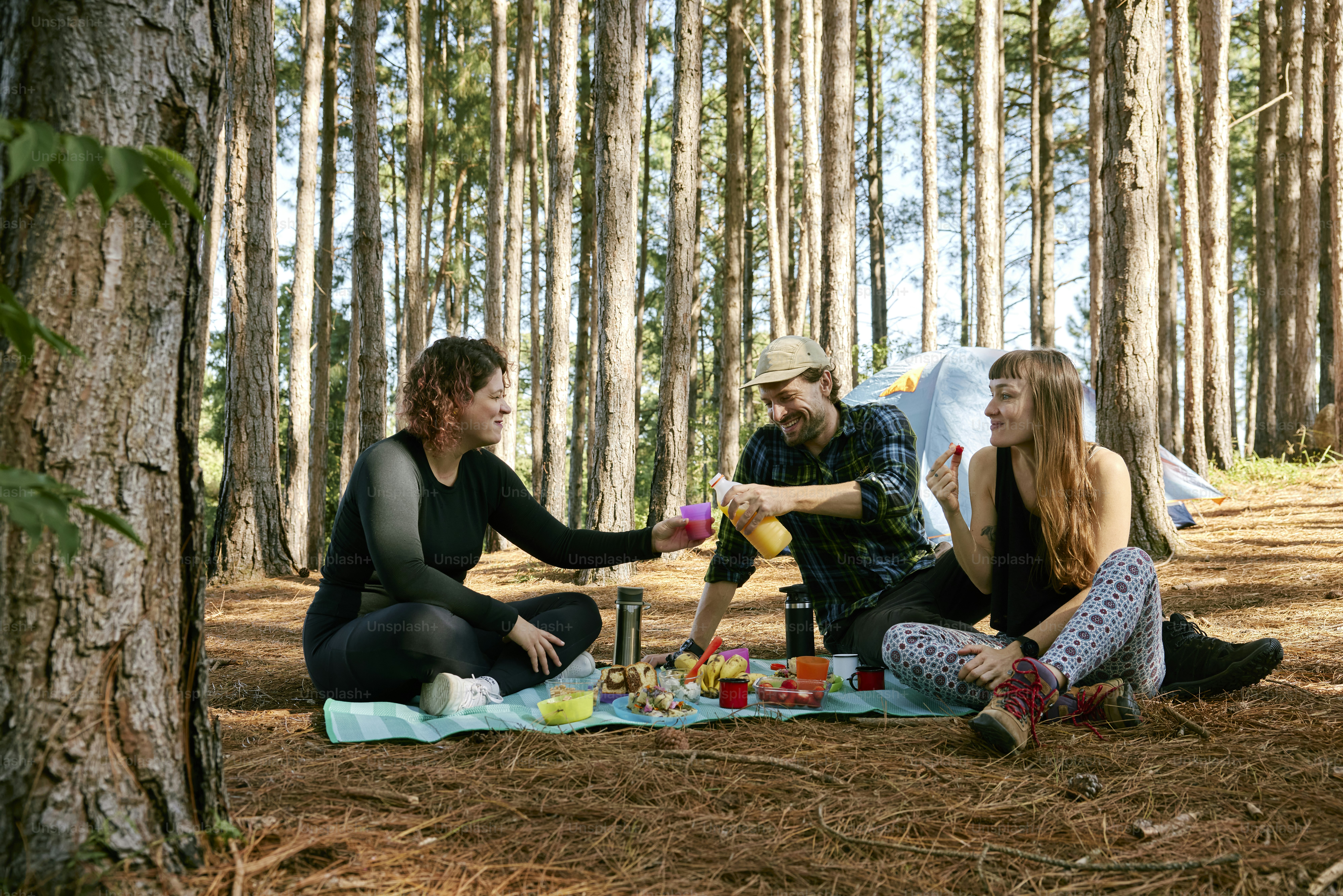 a group of friends having a picnic in the woods