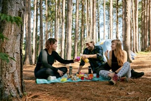 a group of friends having a picnic in the woods