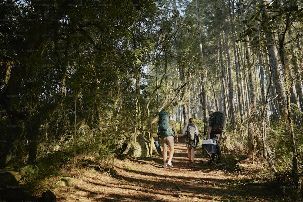 um casal de pessoas andando por uma estrada de terra