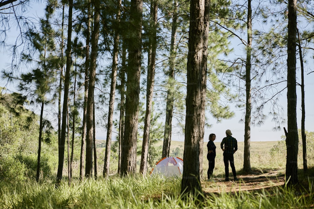 a couple of people standing next to a tent in a forest