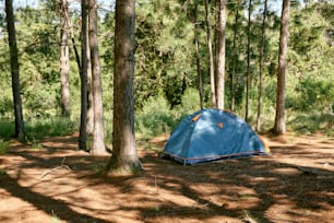 une tente bleue assise au milieu d’une forêt