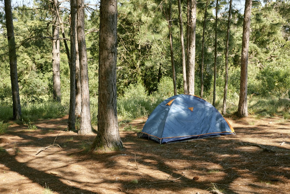 a blue tent sitting in the middle of a forest