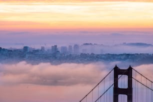 the golden gate bridge is surrounded by fog