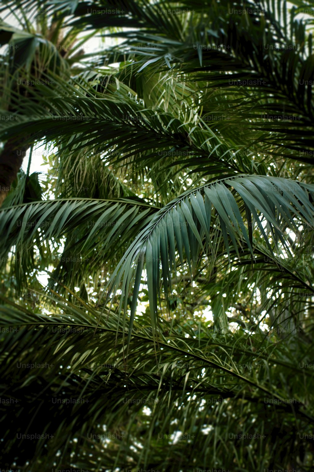 a bird is perched on a tree branch