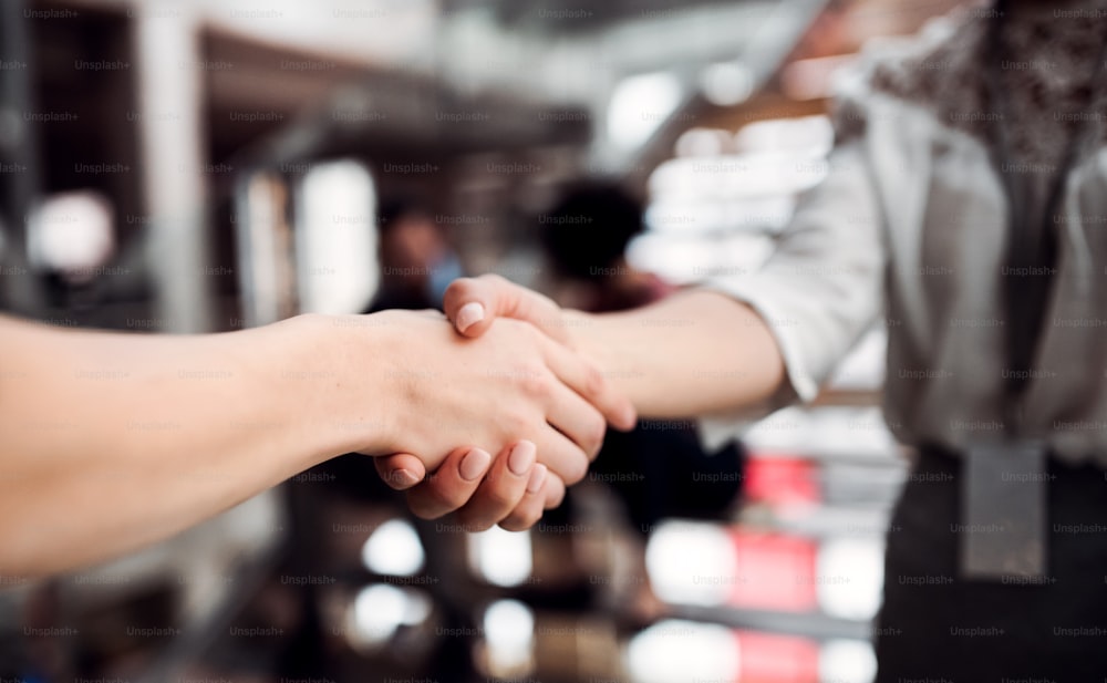 A midsection of unrecognizable young businesswomen, shaking hands.