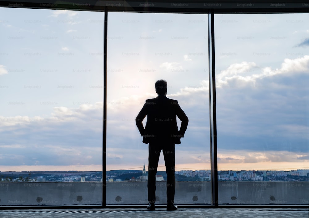 Mature businessman standing at the big windows in a hotel. Man looking at city in the evening. Rear view.