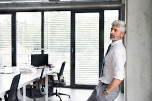 Handsome mature businessman with gray hair in the office wearing white shirt.