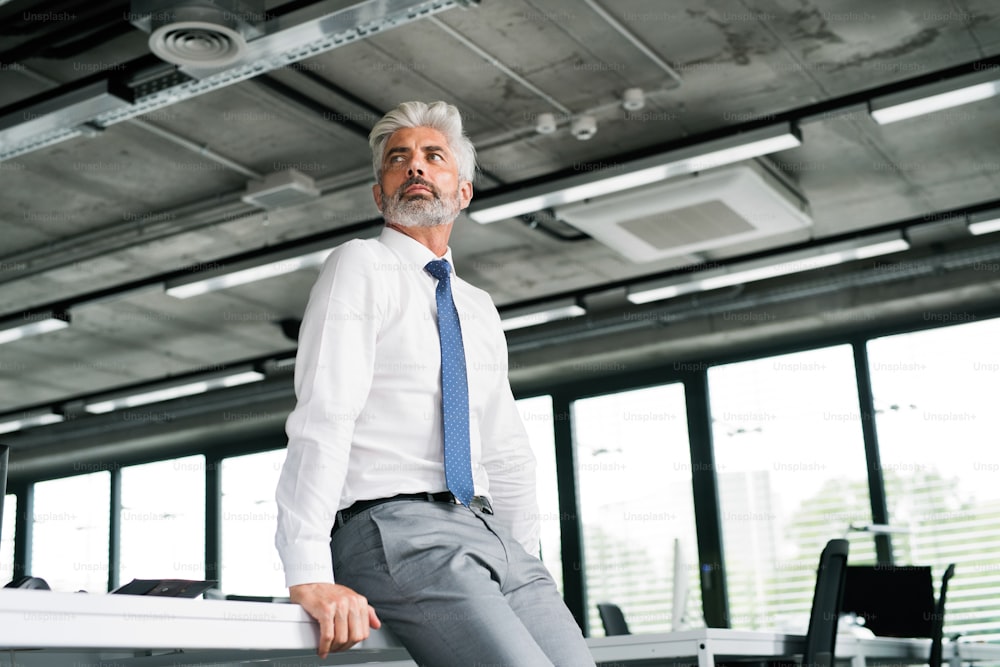 Guapo hombre de negocios maduro con cabello gris en la oficina con camisa blanca, brazos cruzados.