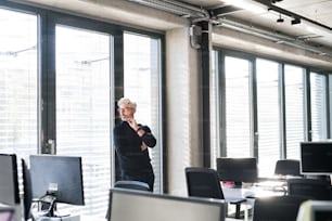 Handsome mature businessman with gray hair in black turtleneck and eyeglasses in the office. Man standind at the window.