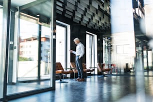 Mature businessman in white shirt in the office standing, holding smartphone, texting.