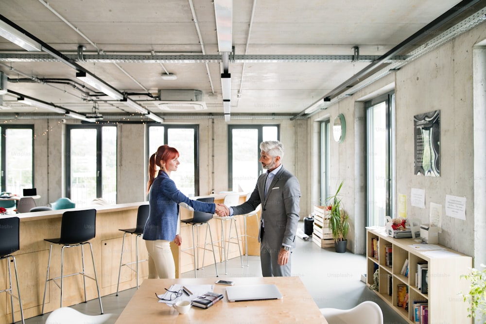 Two business people in the workplace. Woman and man shaking hands, business meeting.