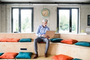 Mature businessman with laptop at the desk in creative office, reading documents.