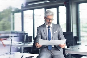 Hombre de negocios maduro con traje gris sentado en el escritorio de la oficina, leyendo documentos.