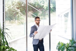 Handsome young businessman in his office studying plans.