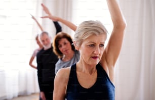 Group of active senior people doing exercise in community center club.