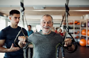 A group of cheerful seniors in gym with a young personal trainer doing exercise with TRX.
