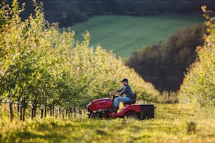 A side view of mature farmer driving mini tractor outdoors in orchard.
